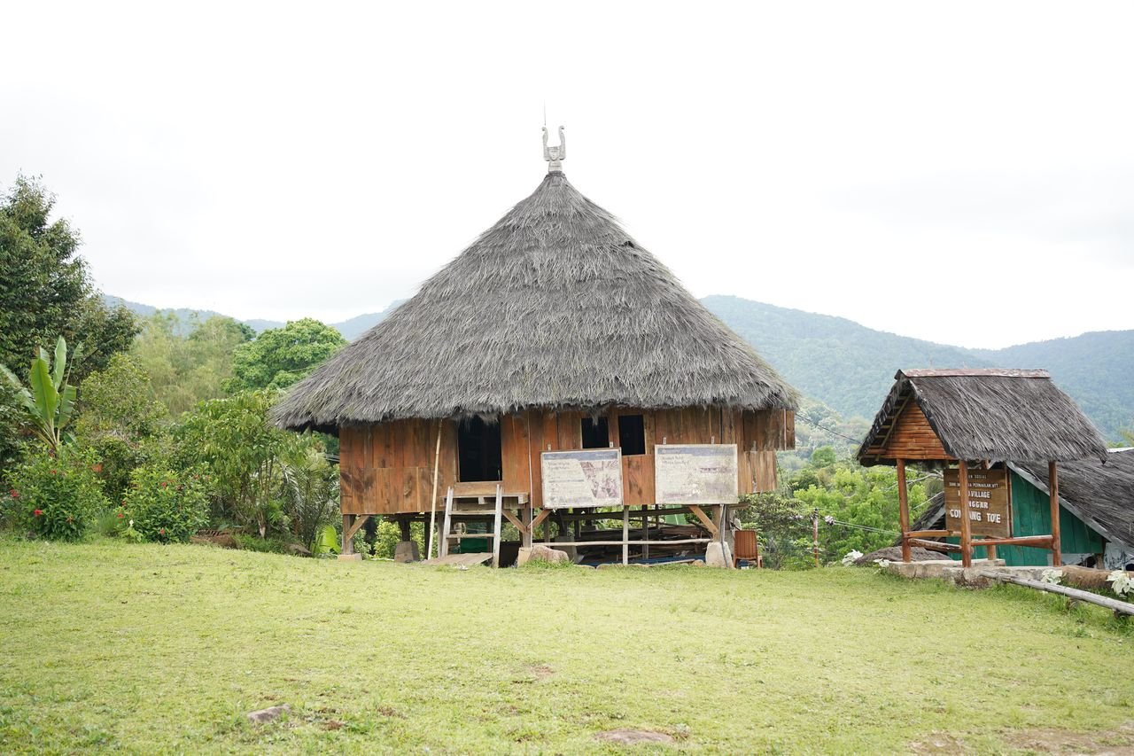 services-03 A traditional thatched hut in East Nusa Tenggara, Indonesia, set against lush greenery.